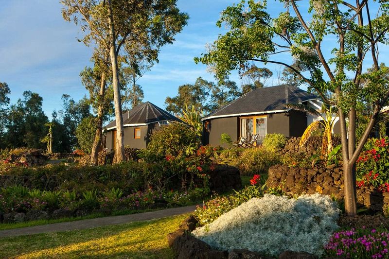 Altiplanico Rapa Nui Hotel Hanga Roa Exterior photo