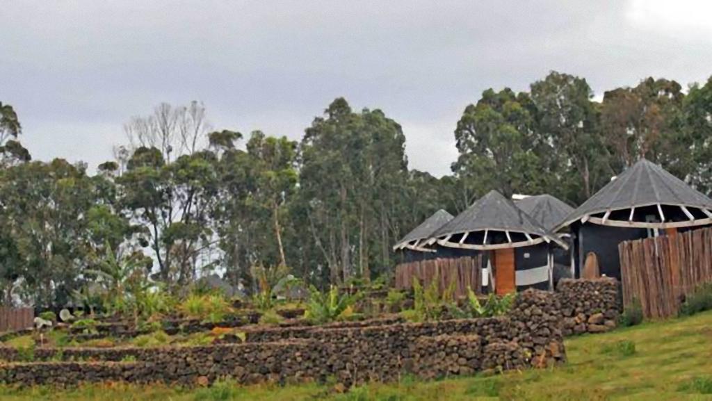 Altiplanico Rapa Nui Hotel Hanga Roa Exterior photo